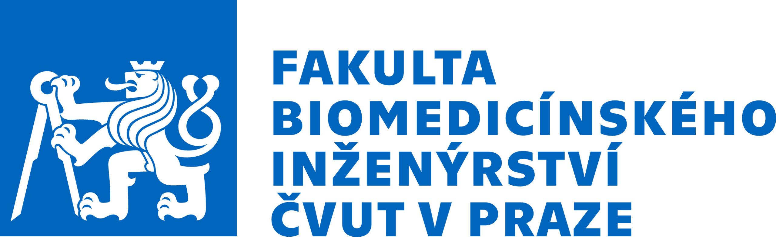 logo_FBMI